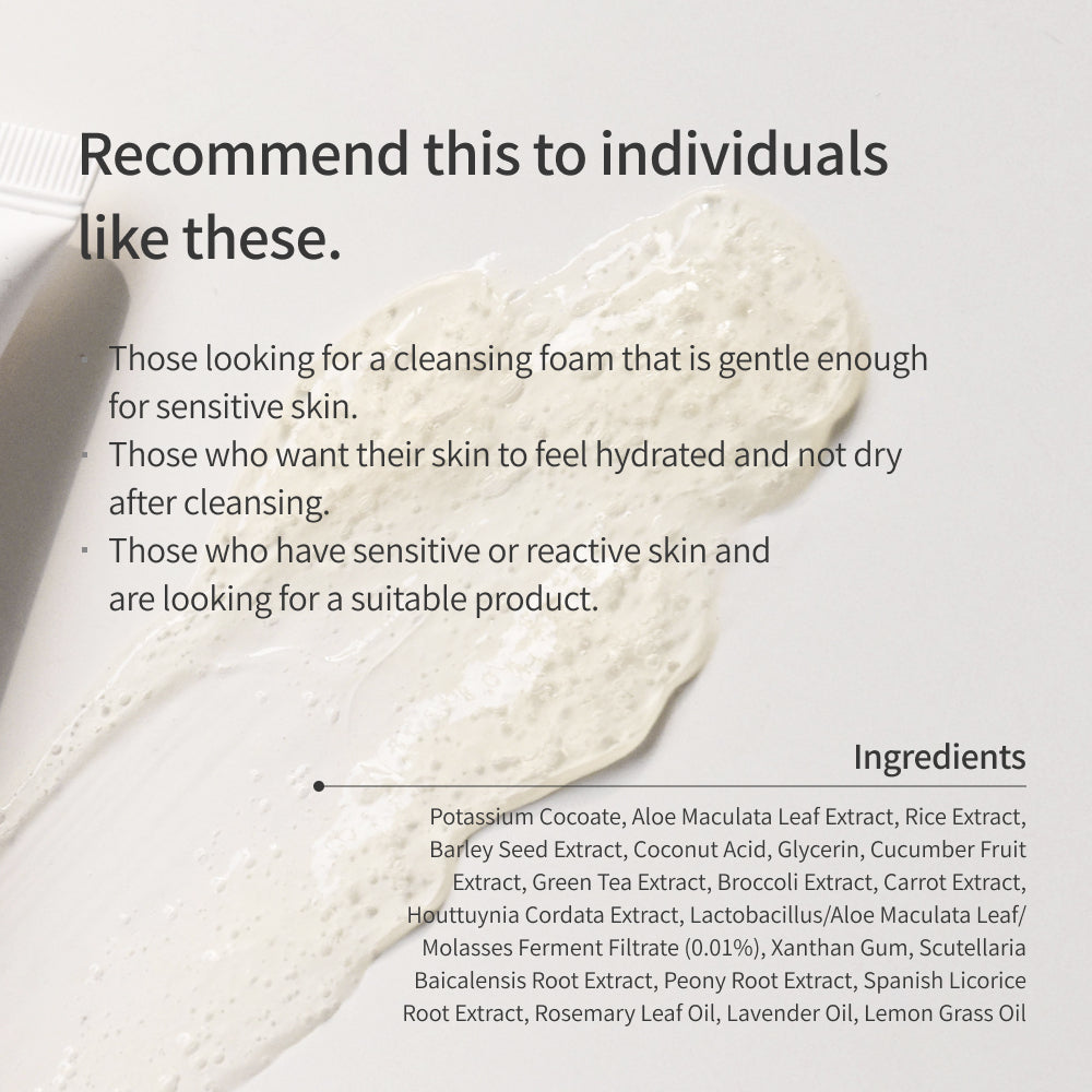 Chungmijung Alkalescent Aloe Cleansing Foam